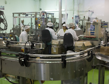 Production room at AHAVA, which produces cosmetics based on the Dead Sea’s high-mineral-content mud. Photo: Keren Manor, 13 March 2011, Activestills.org. 